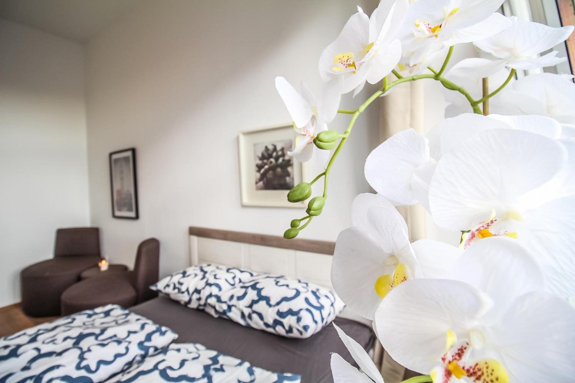 Disc Cozy Rooms In Liesing Wenen Buitenkant foto